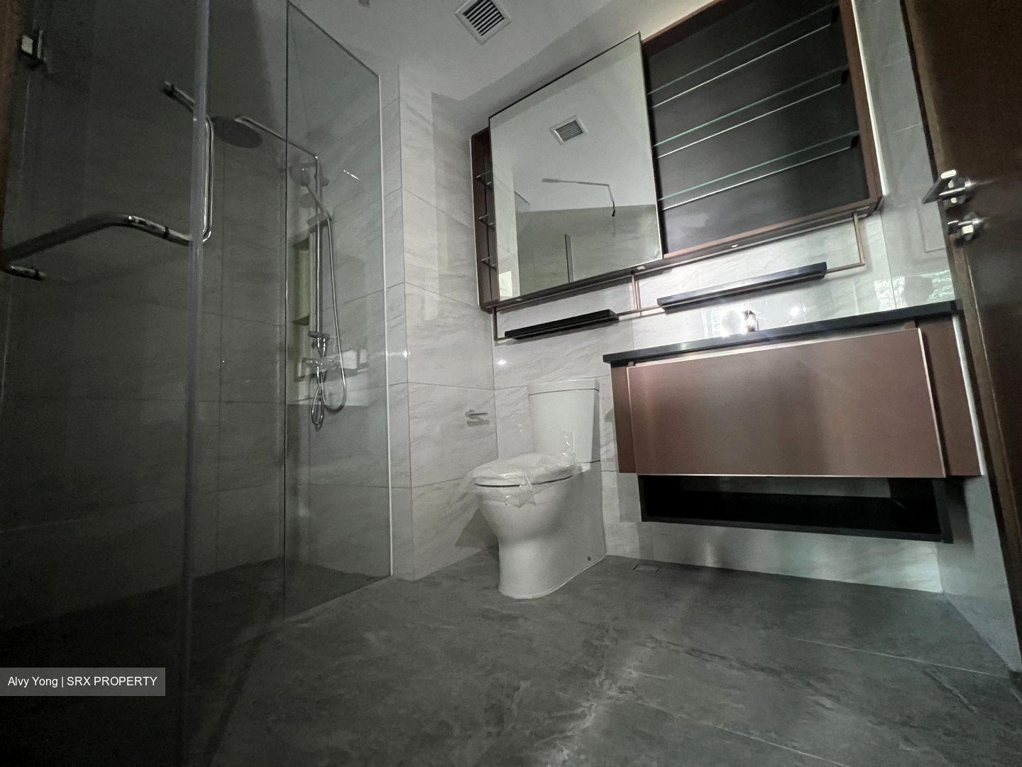 Normanton Park (D5), Apartment #421652851